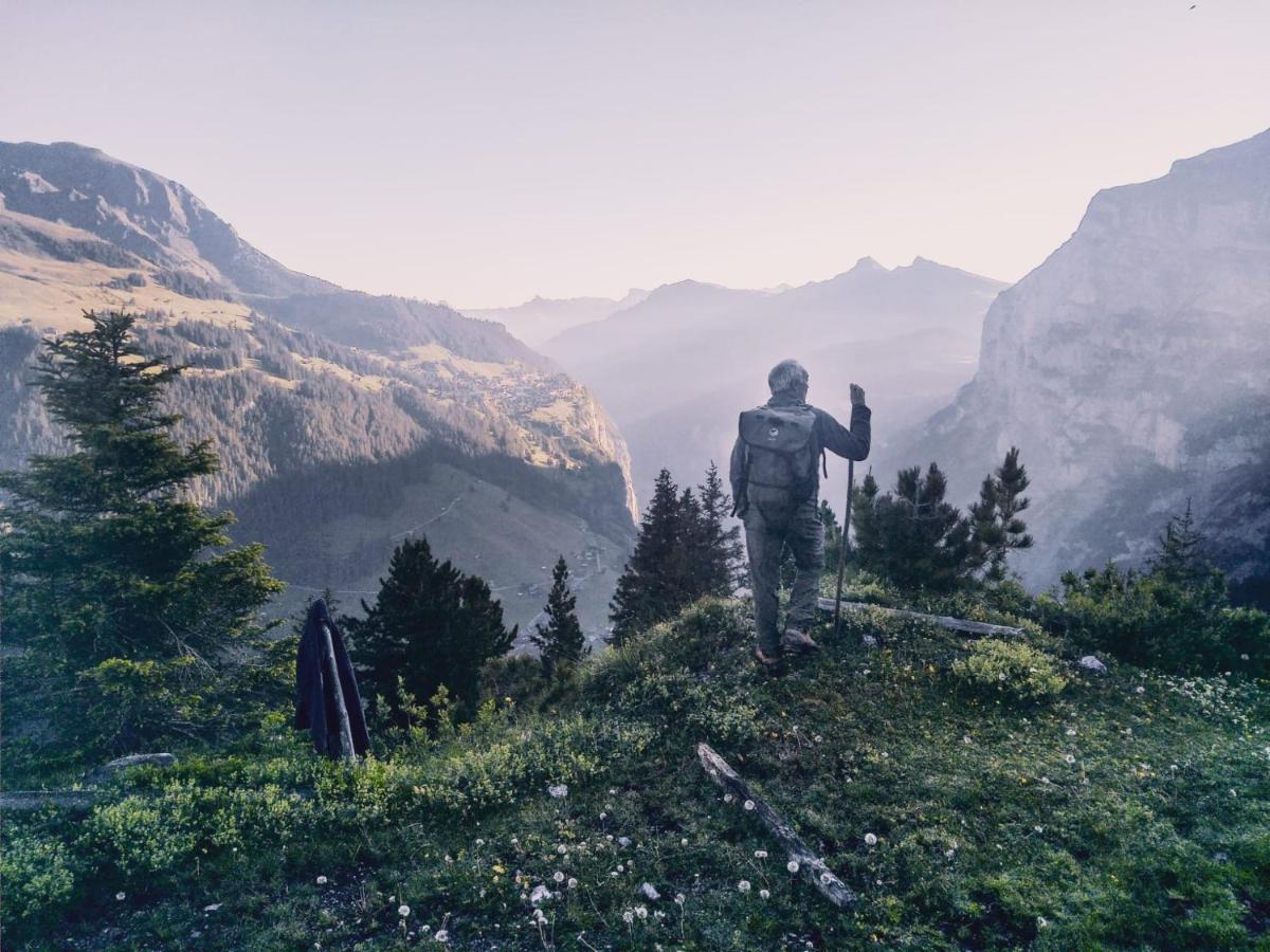 Mountain Gimmelwald * Wengen