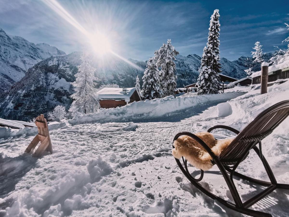 Mountain Gimmelwald * Wengen