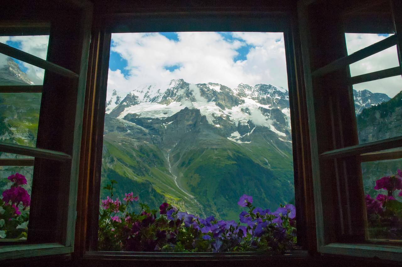 Mountain Gimmelwald Wengen